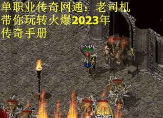 单职业传奇网通：老司机带你玩转火爆2023年传奇手册