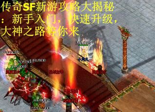 传奇SF新游攻略大揭秘：新手入门，快速升级，大神之路等你来